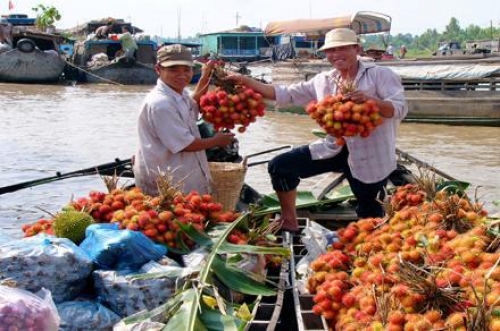 S&ocirc;ng nước Cửu Long sống động những văn h&oacute;a, miệt vườn